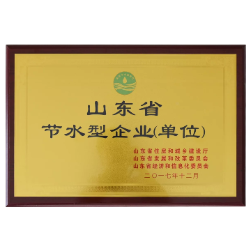 Shandong Water-Saving Enterprise